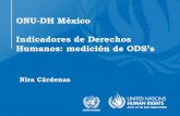 ONU-DH México Indicadores de Derechos Humanos: medición de ...