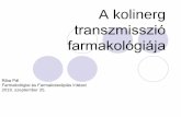 Pharmacology of the cholinergic transmission