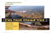 I’m Not Dead Yet Atlantic Salmon - WordPress.com