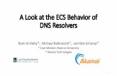 A Look at the ECS Behavior of DNS Resolvers