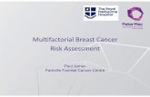Multifactorial Breast Cancer Risk Assessment