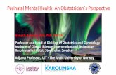 Perinatal Mental Health - UiO