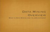 Data Mining Overview - bus317.ballenger.wlu.edu