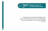 Comments for Proposed Guidance for New York Domestic ...