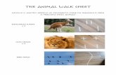 THE ANIMAL WALK SHEET - IC TREBESCHI