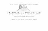 MANUAL DE REDES DE COMPUTADORAS - itmorelia.edu.mx