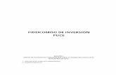 Informe F. InversiÃ³n Puce (1) compressed