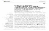 Inhibition of Soybean 15-Lipoxygenase and Human 5 ...