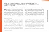 miR-501-3p mediates the activity-dependent regulation of ...