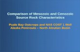 Comparison of Mesozoic and Cenozoic Source Rock ...