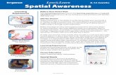 0-12 months Spatial Awareness - ehsflexpd.com