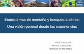 Ecosistemas de montaña y bosques andinos: Una visión ...