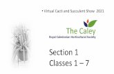 Section 1 Classes 1 7 - thecaley.org.uk