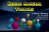 Benign Adnexal Tumours - med.alexu.edu.eg