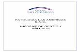 INFORME GESTIÓN AÑO 2016 A - Las Americas