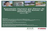 Exposición Humana por Deriva de Pesticidas: Informe del ...