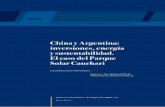 China y Argentina: inversiones, energía y sustentabilidad ...