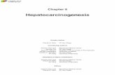 Chapter 6. Hepatocarcinogenesis CS 2018 FINAL