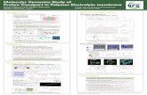 Molecular Dynamics Study of Proton ... - ifs.tohoku.ac.jp