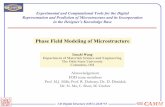 Phase Field Modeling of Microstructure - Ju Li