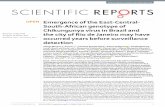 Emergence of the East-Central-South-African genotype of ...