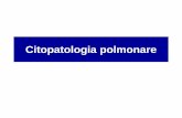 Citopatologia polmonare - uniroma1.it