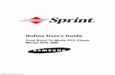 i500 Online Guide - Sprint