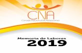 Memoria de Labores 2019 - Better Care Network