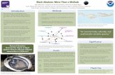 Black Abalone: More Than a Mollusk
