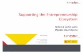 Supporting the Entrepreneurship Ecosystem