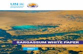 SARGASSUM WHITE PAPER - GEF-CReW
