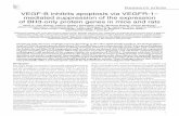 VEGF-B inhibits apoptosis via VEGFR-1– mediated ...
