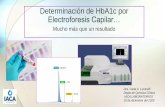 HbA1c por electroforesis capilar