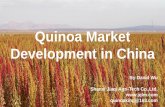 Quinoa Market Development in China