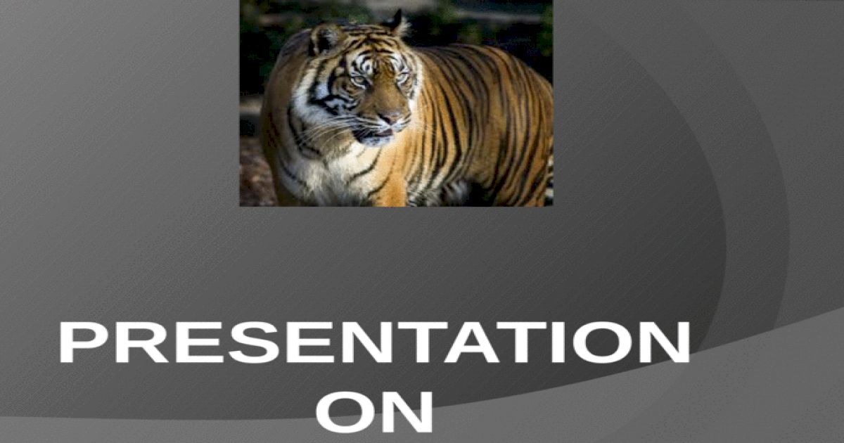 case study on project tiger ppt