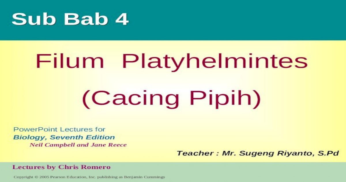 platyhelminthes cacing ppt)
