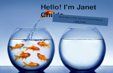Janet Childs Resume