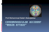 Prof Mohammad Salah Abduljabbar. Objectives  Define cerebrovascular accident and associated terminology  Discuss related pathophysiology and presentation.