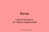 Dr. maha Daghestani Gene Lab techniques Dr. Maha Daghestani.