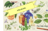 Alkaloids. Phytochemistry and Plant Metabolism Intermediary Metabolism: enzyme-mediated and carefully regulated chemical reactions (Metabolic Pathways)