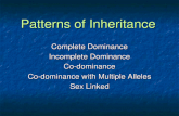 Patterns of Inheritance Complete Dominance Incomplete Dominance Co-dominance Co-dominance with Multiple Alleles Sex Linked