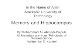 Memory and Hippocampus