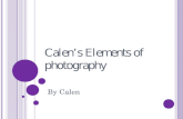 Calen’s  Elements of photography