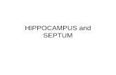 HIPPOCAMPUS and SEPTUM