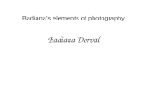Badiana’s elements of photography