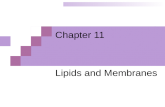 Chapter 11 Lipids and Membranes. Lipids Biomolecules defined in terms of solubility:  Insoluble in water but soluble in nonpolar solvents.  Waxy, greasy.