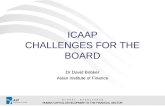 ICAAP CHALLENGES FOR THE BOARD