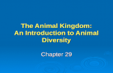 The Animal Kingdom: An Introduction to Animal Diversity Chapter 29.