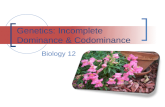 Genetics: Incomplete Dominance & Codominance Biology 12.