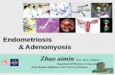 Endometriosis  ＆  Adenomyosis